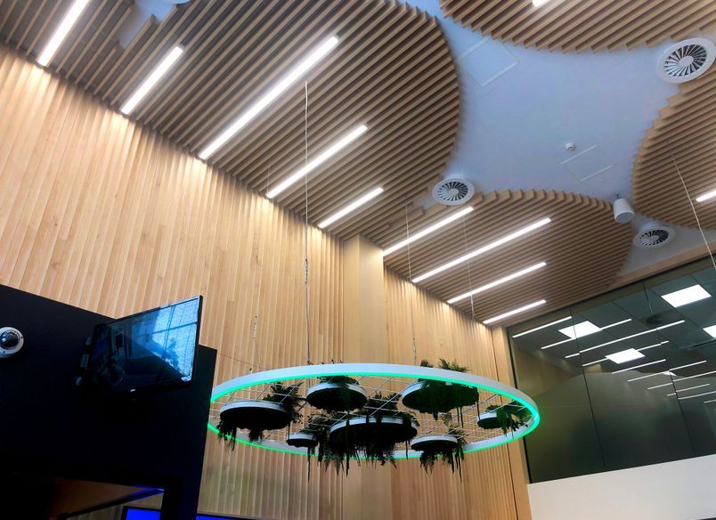 TSB Bank