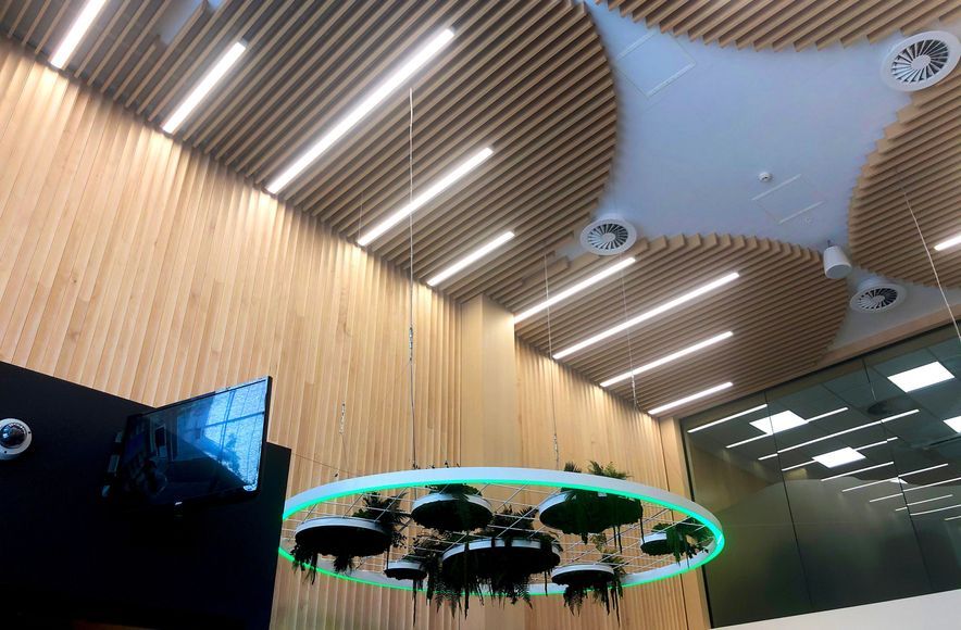 TSB Bank