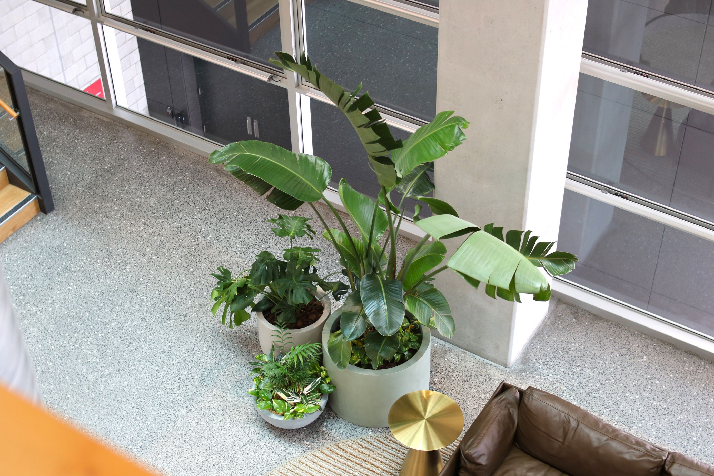 IMG8720.JPG