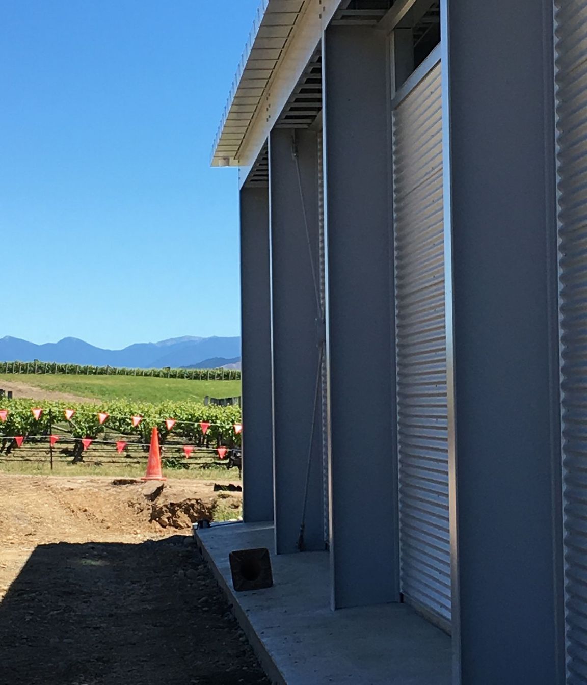 Marlborough Wines
