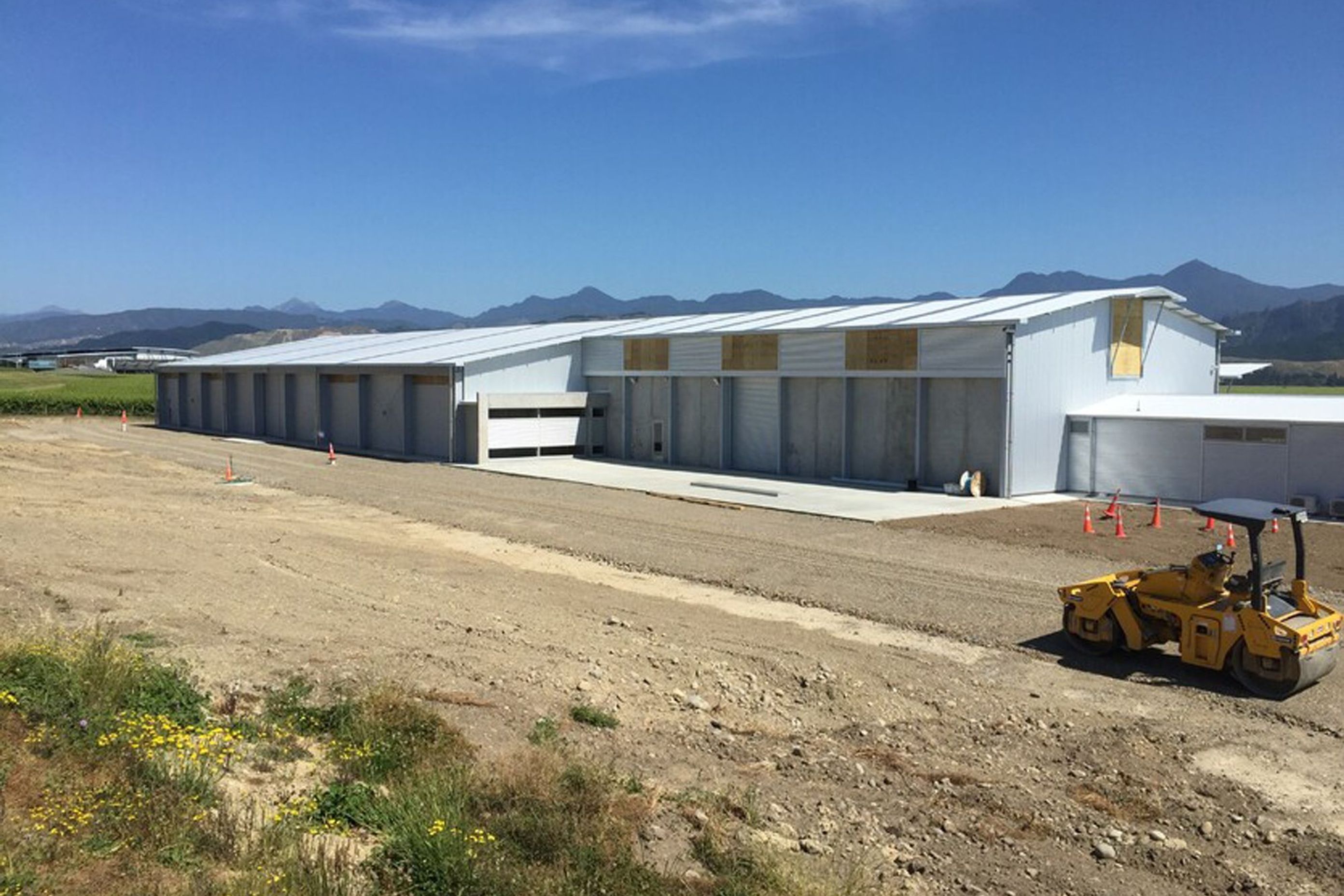 Marlborough Wines