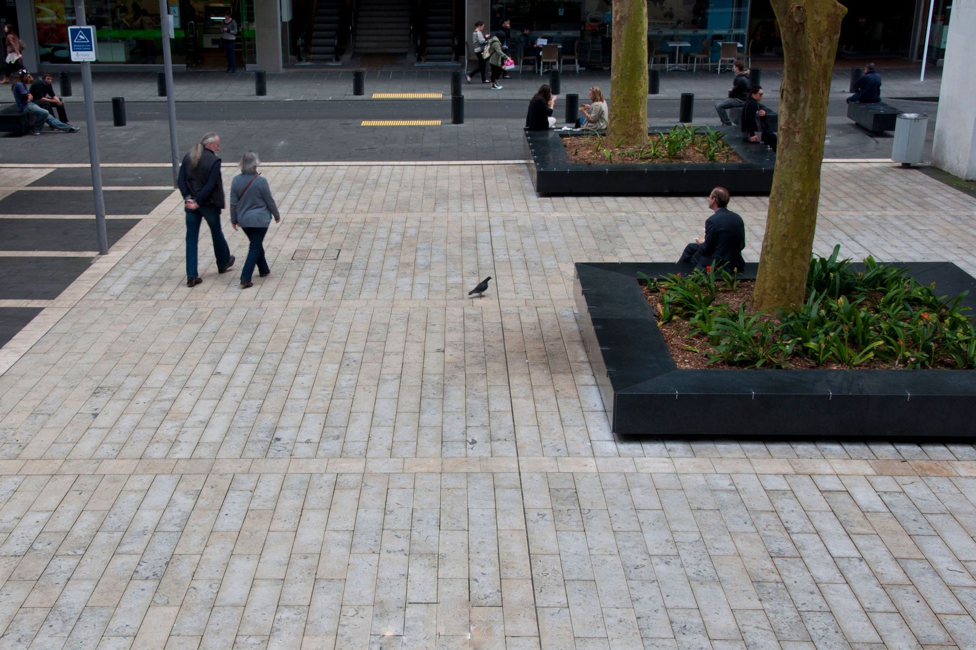 Shared Spaces Auckland Central