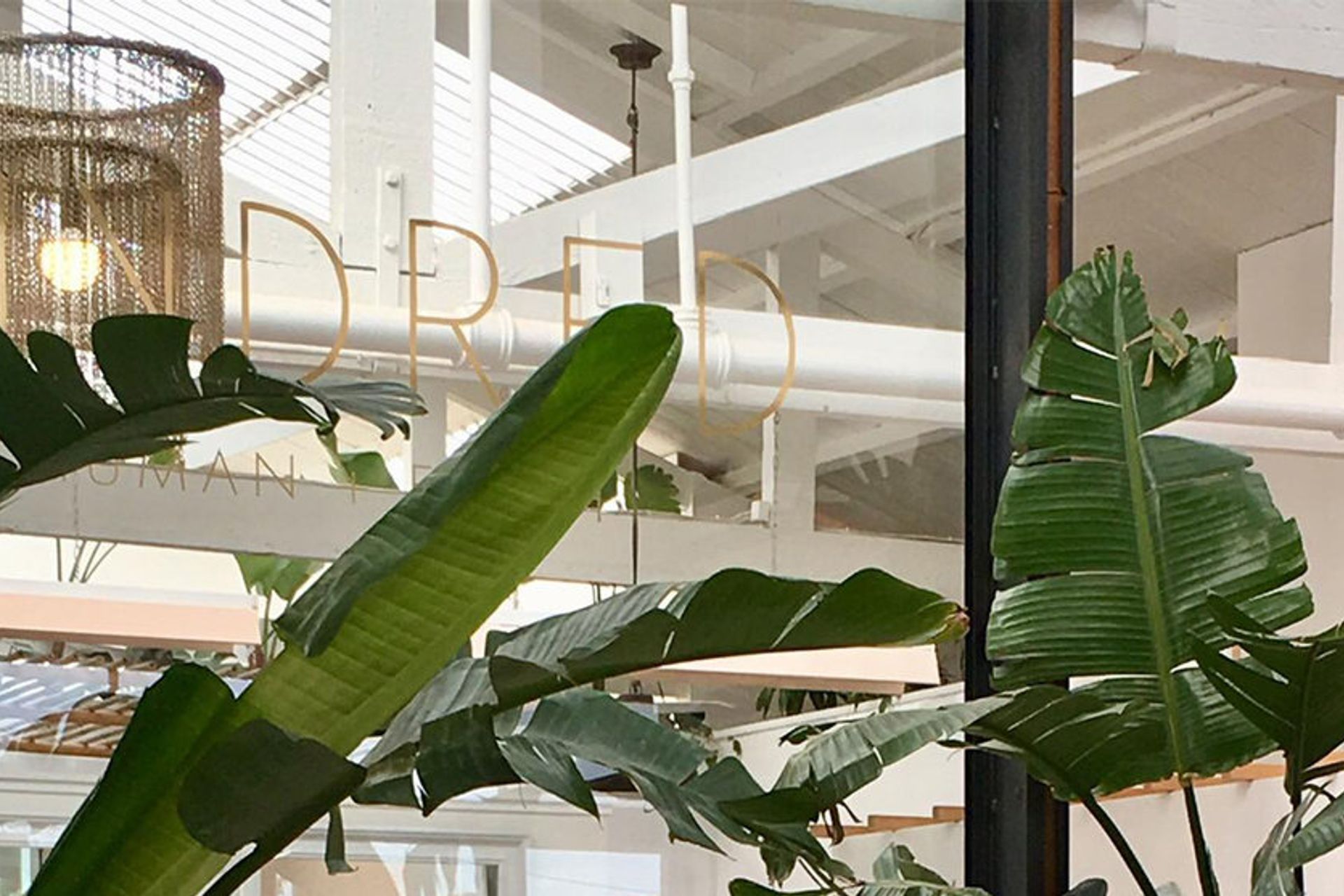 Kindred Human + Earth and Next Of Kin