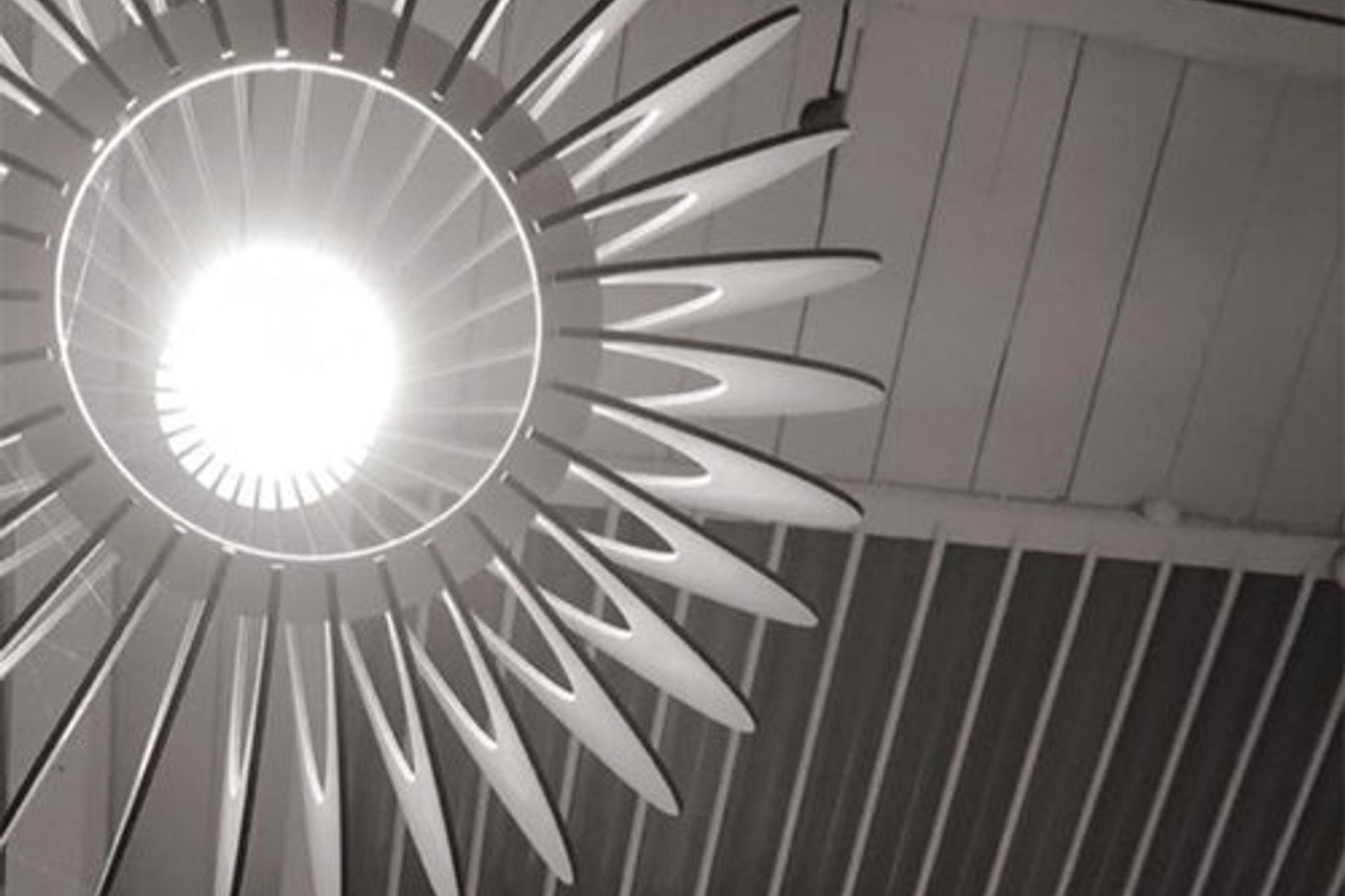 Kindred Human + Earth and Next Of Kin