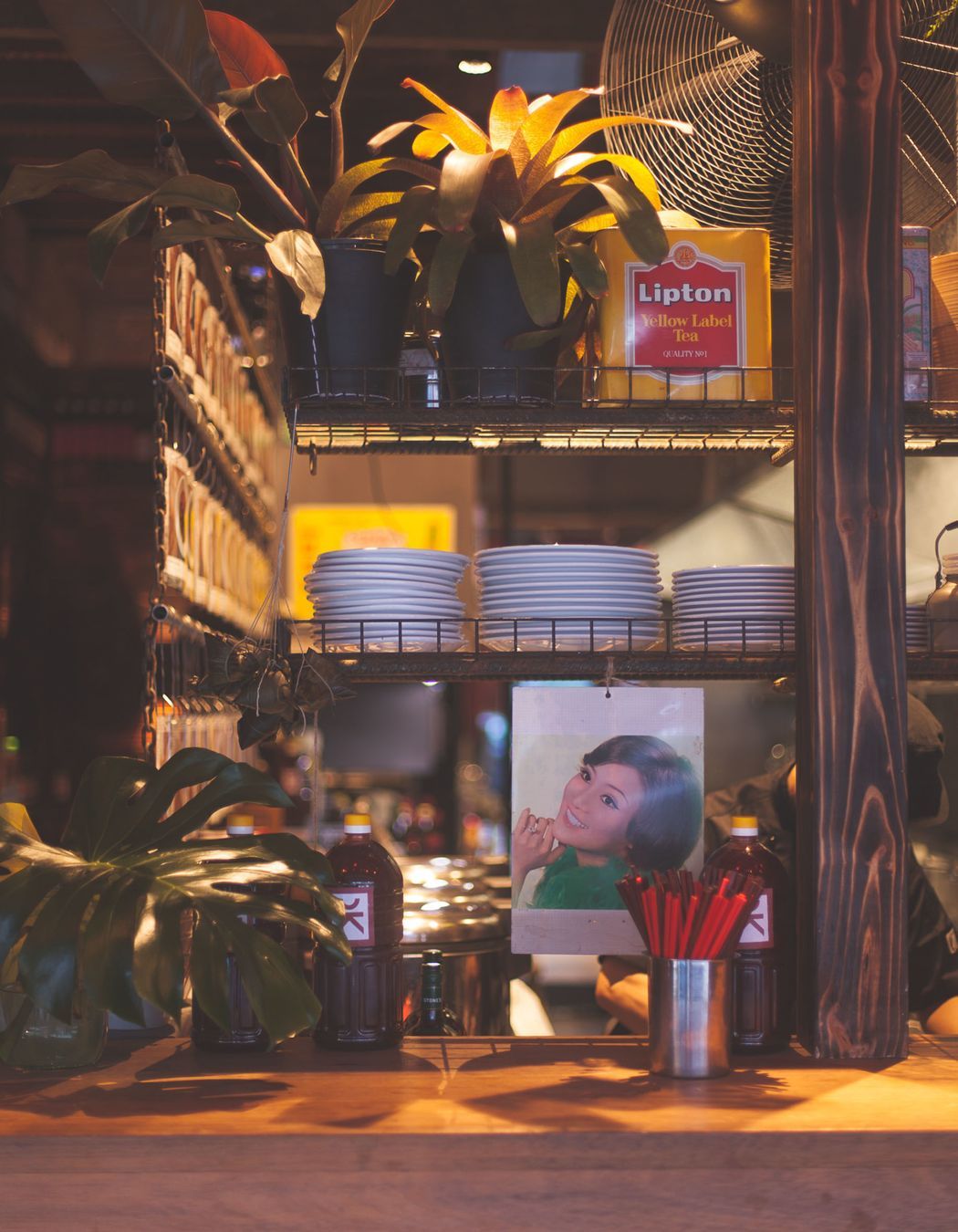 Photography: Cole Bennetts