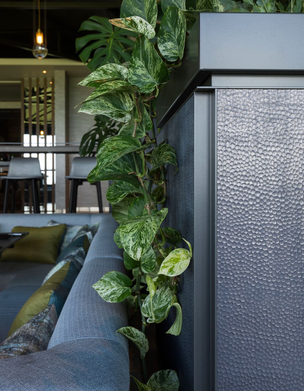 Cable Bay Vineyard, Waiheke Island