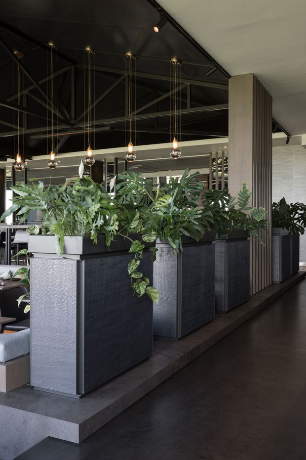 A sophisticated commercial interior featuring a row of large dark textured planter partitions filled with lush tropical greenery. The space has a dark polished concrete floor, black exposed structural ceiling with track lighting and suspended pendant lights, pale timber vertical screening, and glimpses of contemporary seating and work areas beyond the planting.