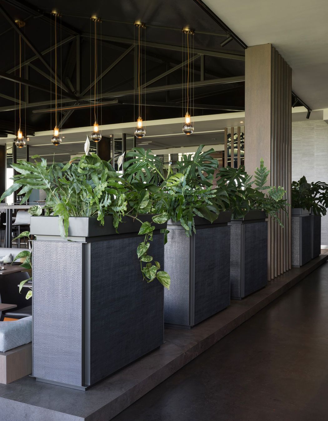 Cable Bay Vineyard, Waiheke Island