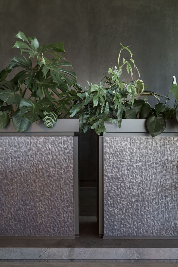 A moody interior detail featuring lush tropical plants arranged in long built-in planters above textured metallic cabinet or partition fronts. The space has dark charcoal walls, black framing, and a grey polished floor, creating a refined industrial atmosphere with strong tactile surfaces and abundant greenery.