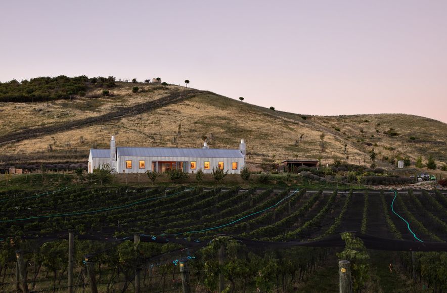 The Cellar Door - Noel Lane Architects Project in association with R.B Studio
