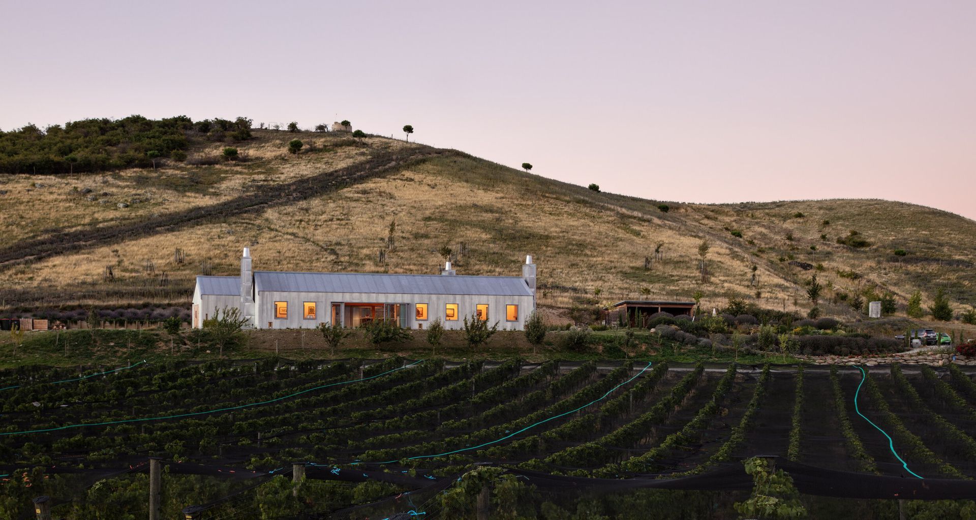The Cellar Door - Noel Lane Architects Project in association with R.B Studio banner