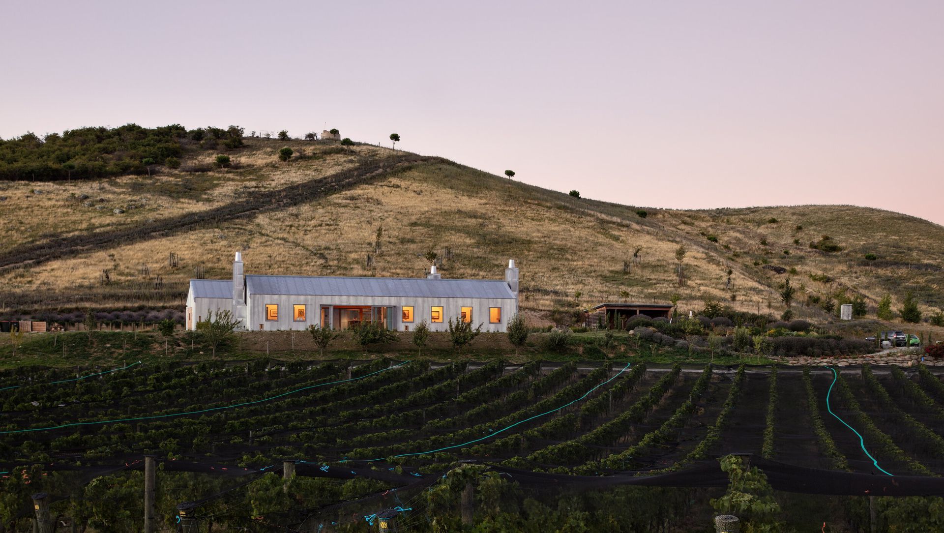 The Cellar Door - Noel Lane Architects Project in association with R.B Studio banner