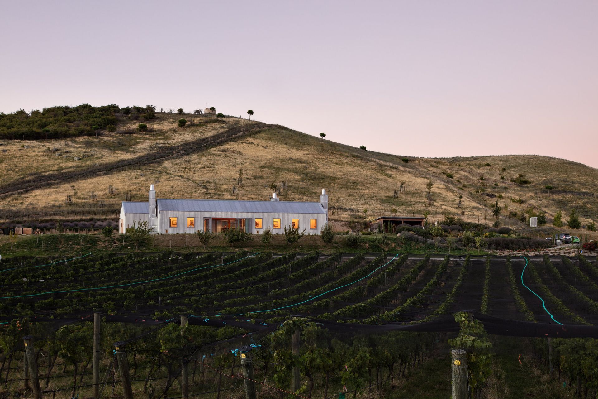 The Domaine Thomson Cellar Door buildings nestle into the hills overlooking the vineyard's pinot noir grapes and Lake Dunstan in Cromwell.