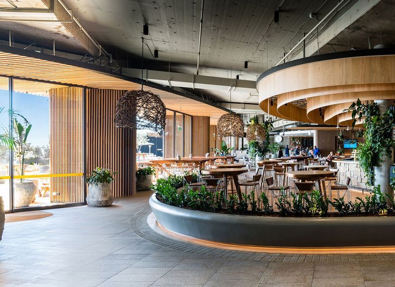 Harbord Diggers Club