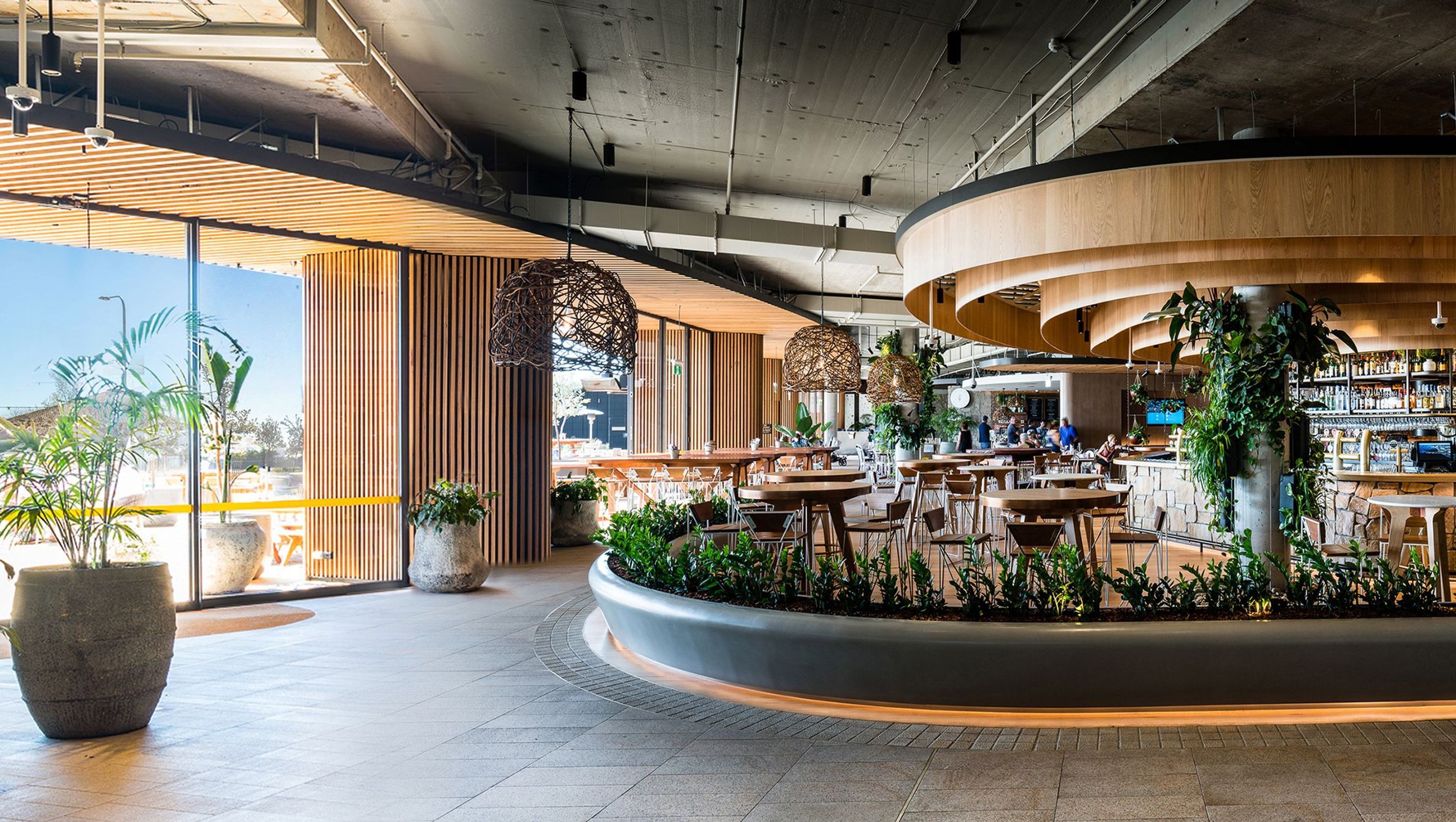 Harbord Diggers Club