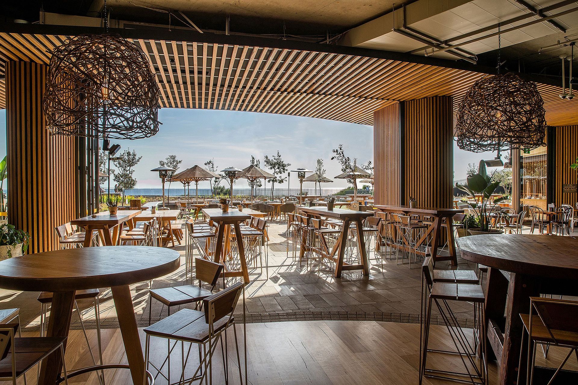 Harbord Diggers Club