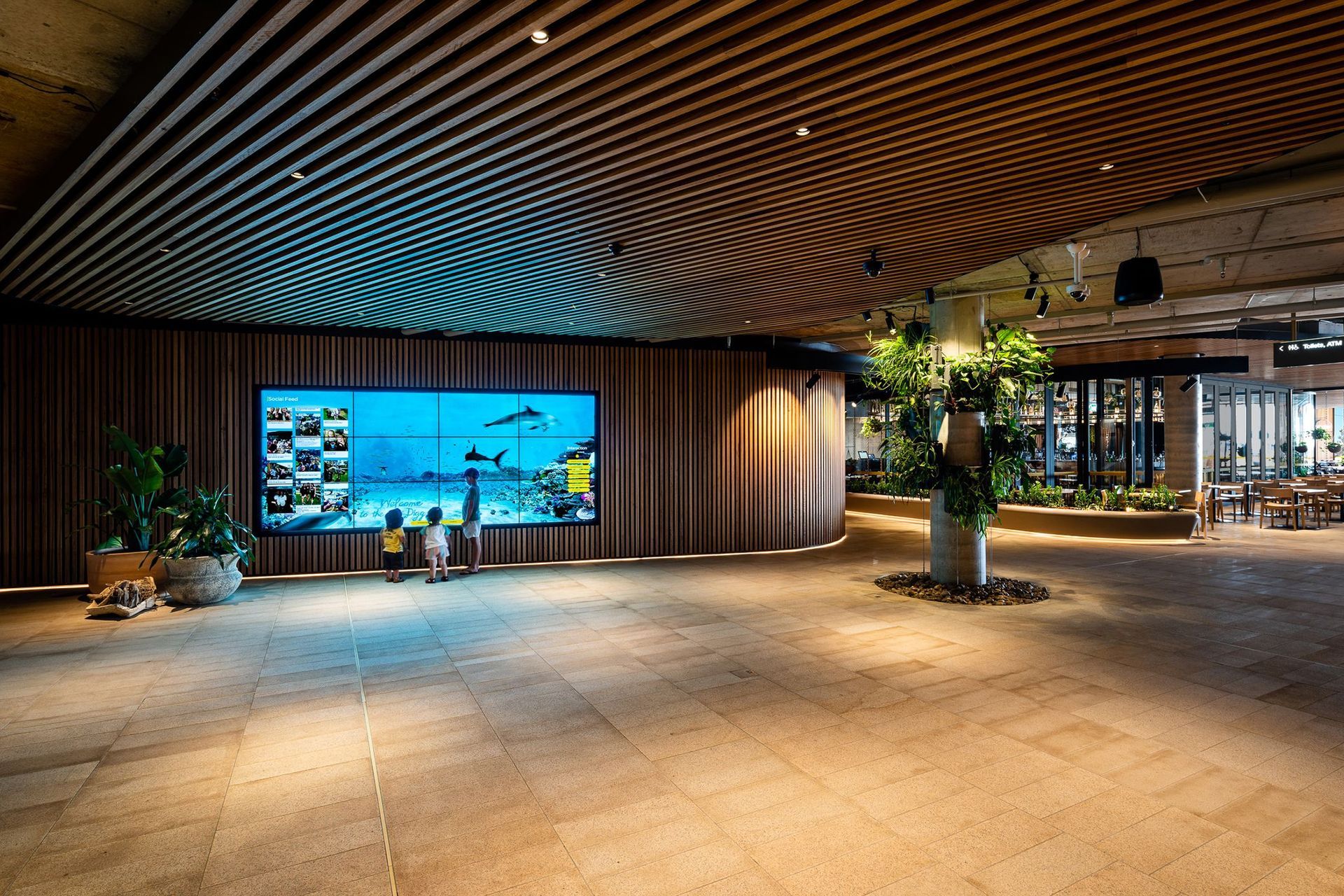 Harbord Diggers Club