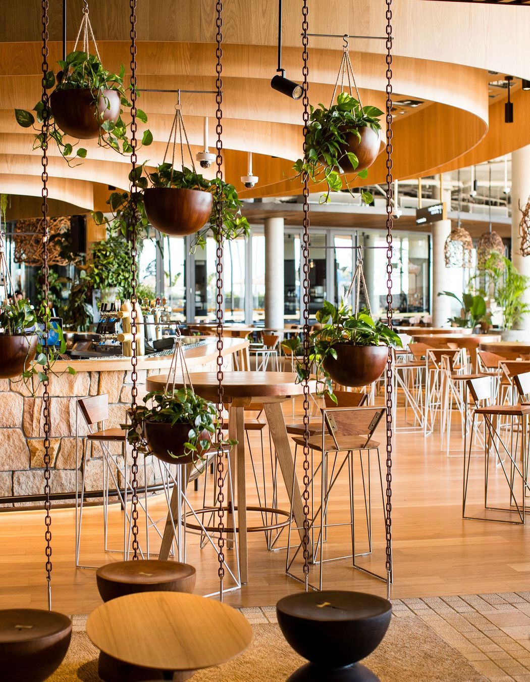 Harbord Diggers Club