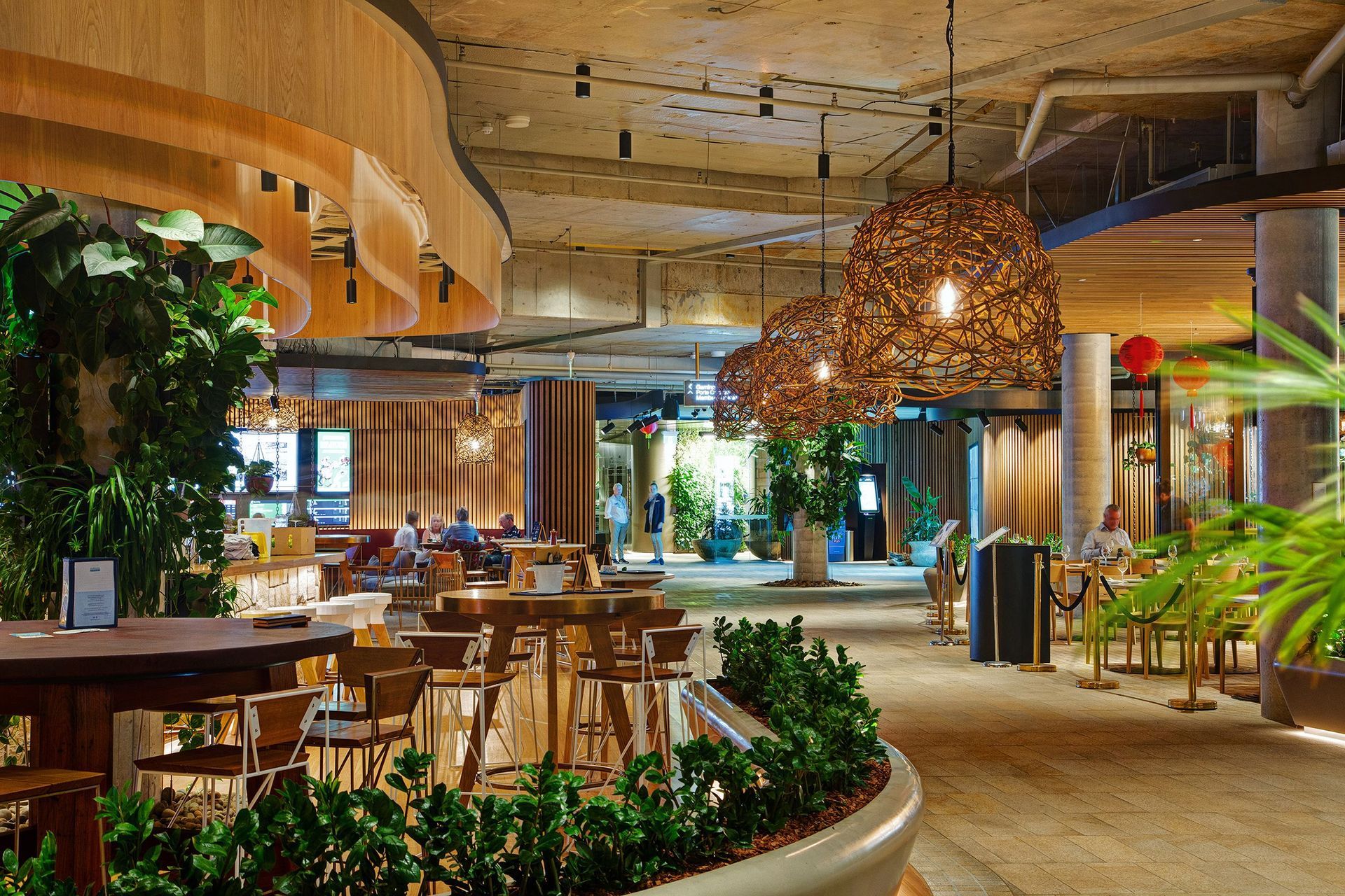 Harbord Diggers Club