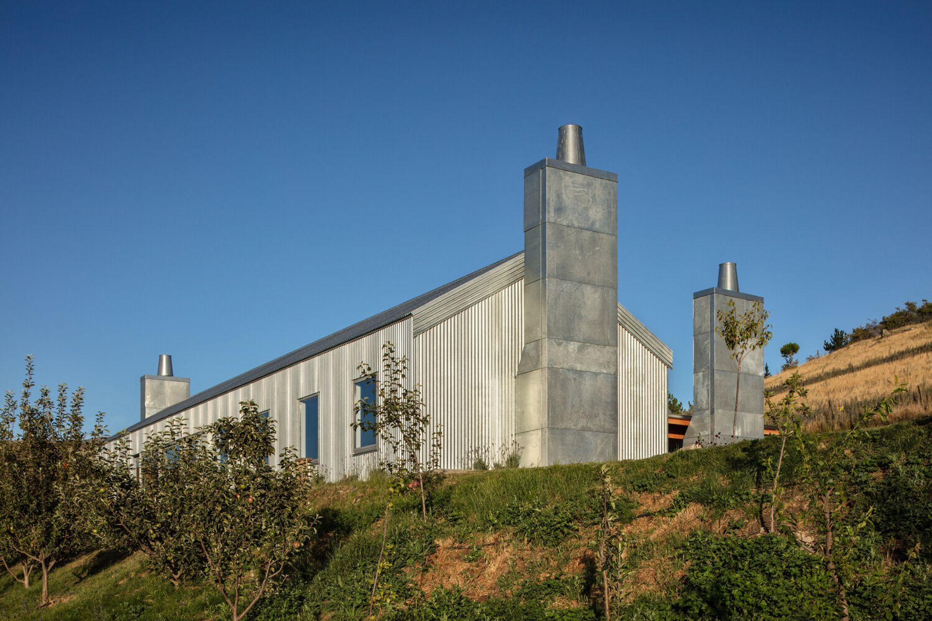 The journey from the car park to the tasting room takes in a garden of fruit trees.