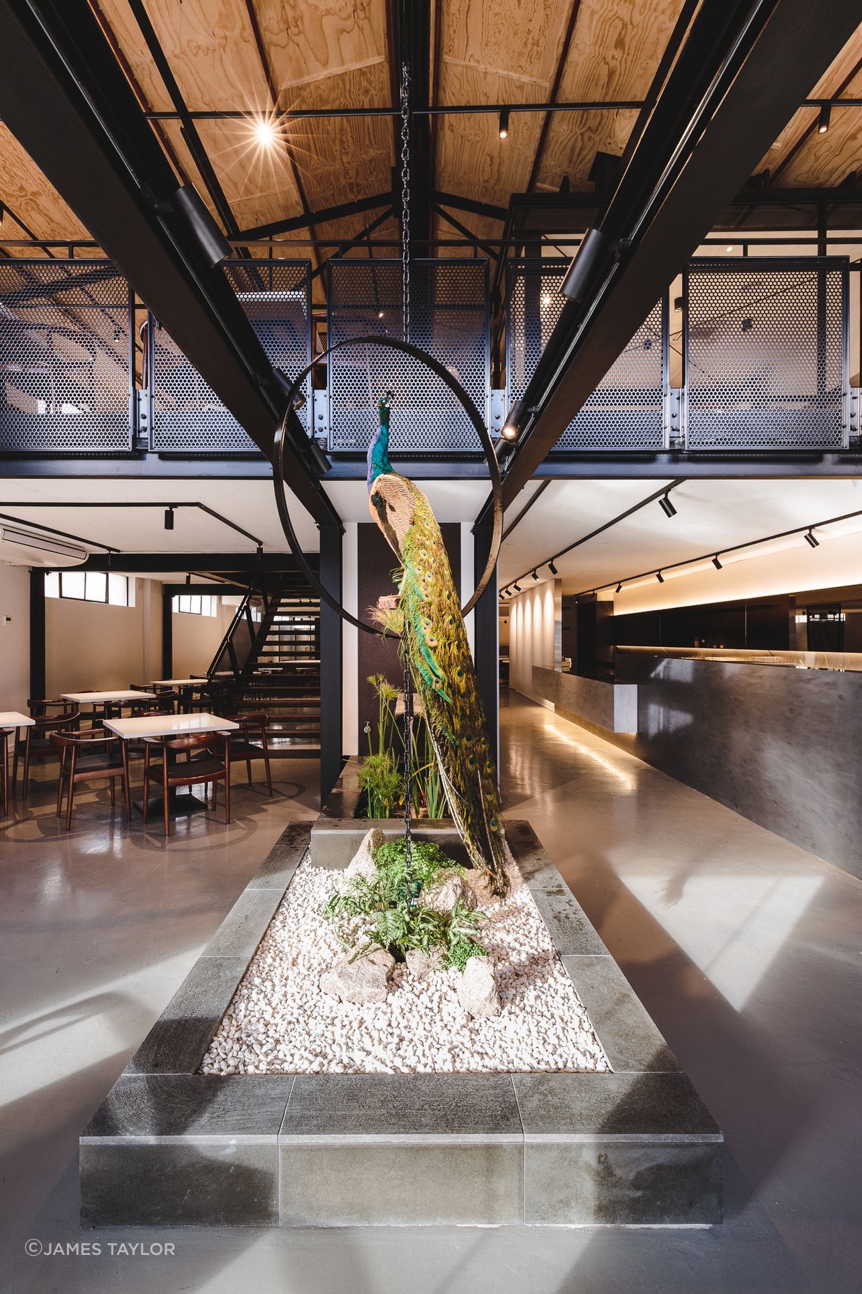 Peacock Restaurant