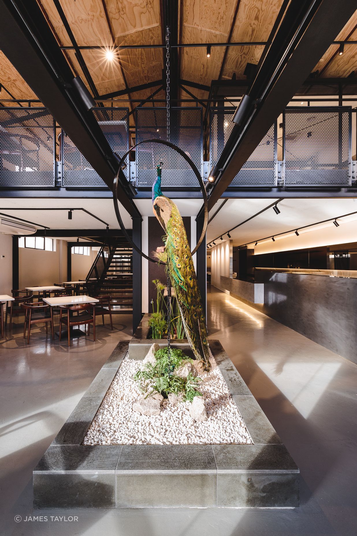 Peacock Restaurant