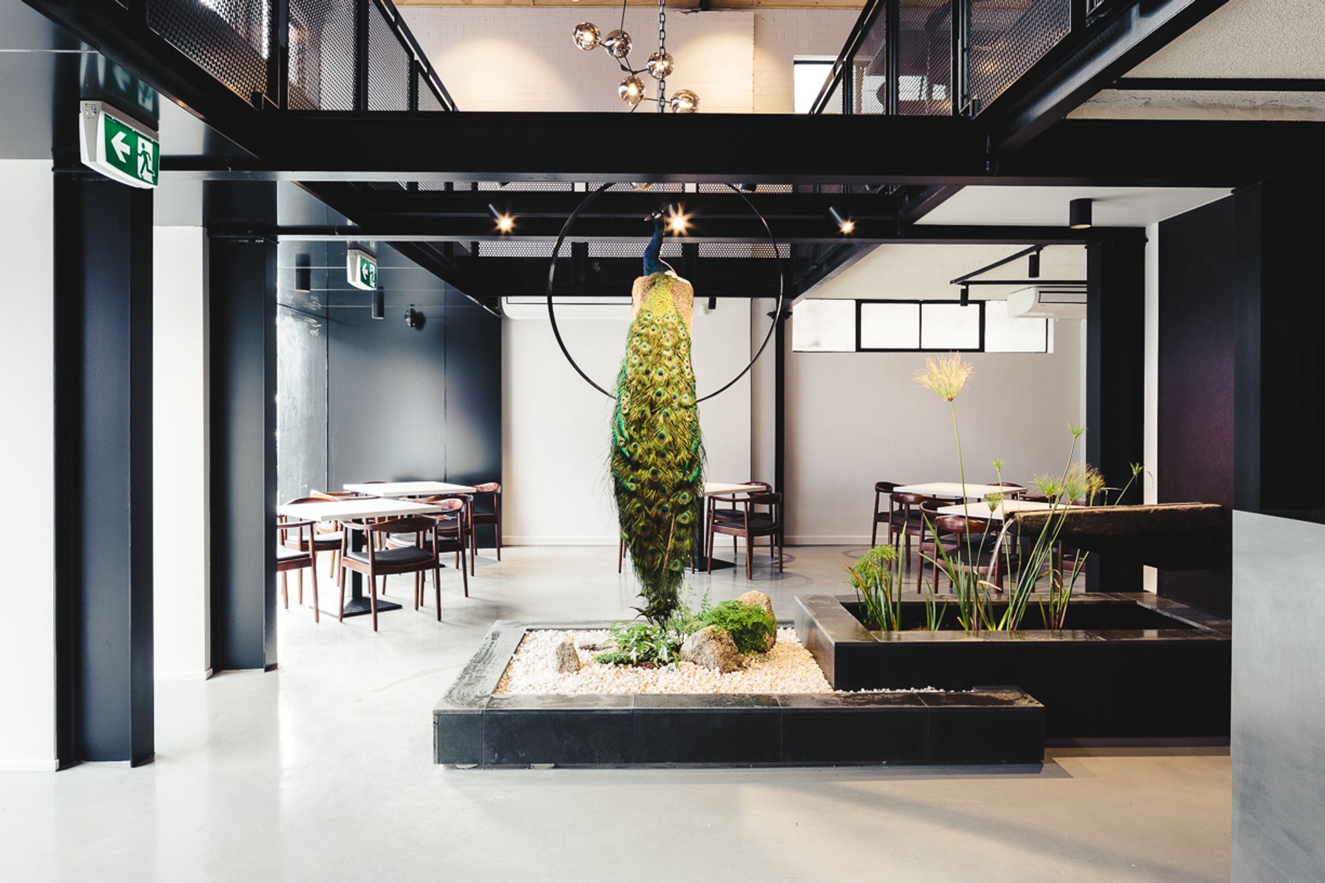 Peacock Restaurant