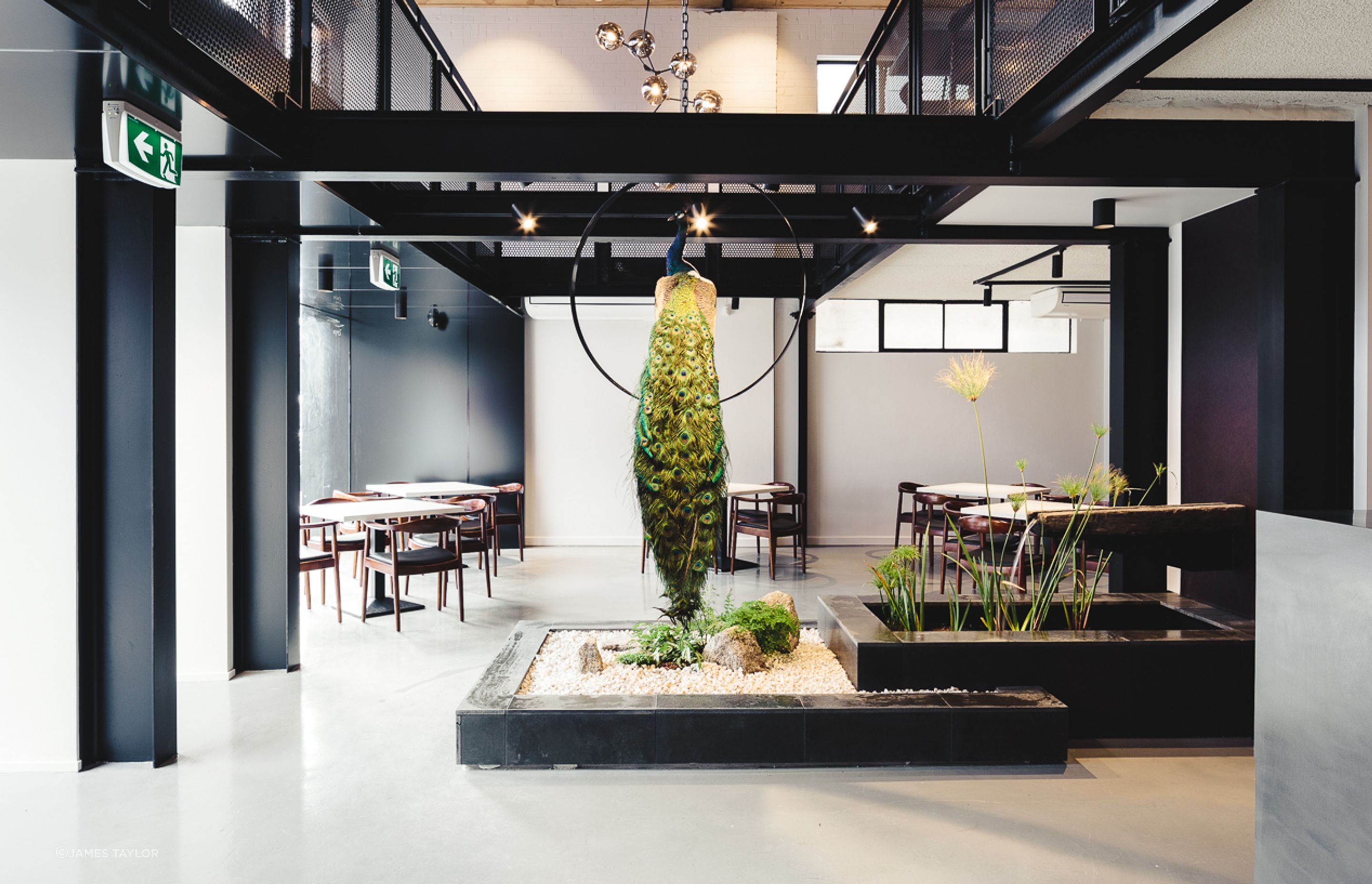 Peacock Restaurant