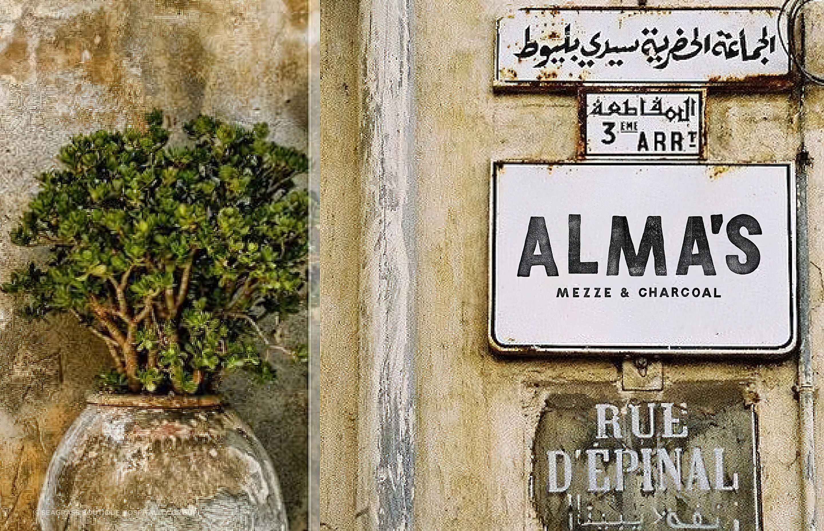 Almas-Kitchen14-gigapixel-standard-scale-100x-gigapixel-standard-scale-200x.jpg