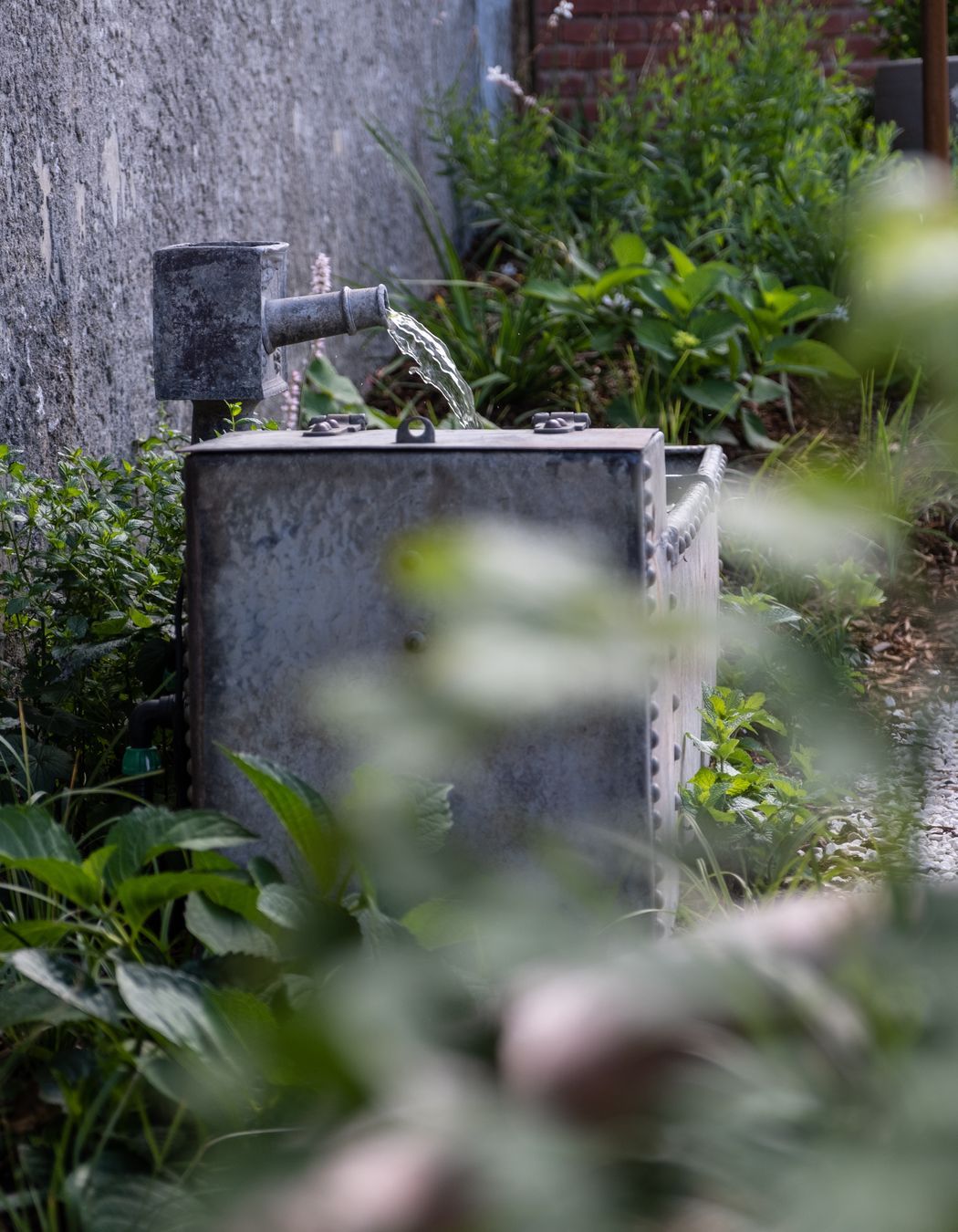 Galbraith's Alehouse - Eden Terrace