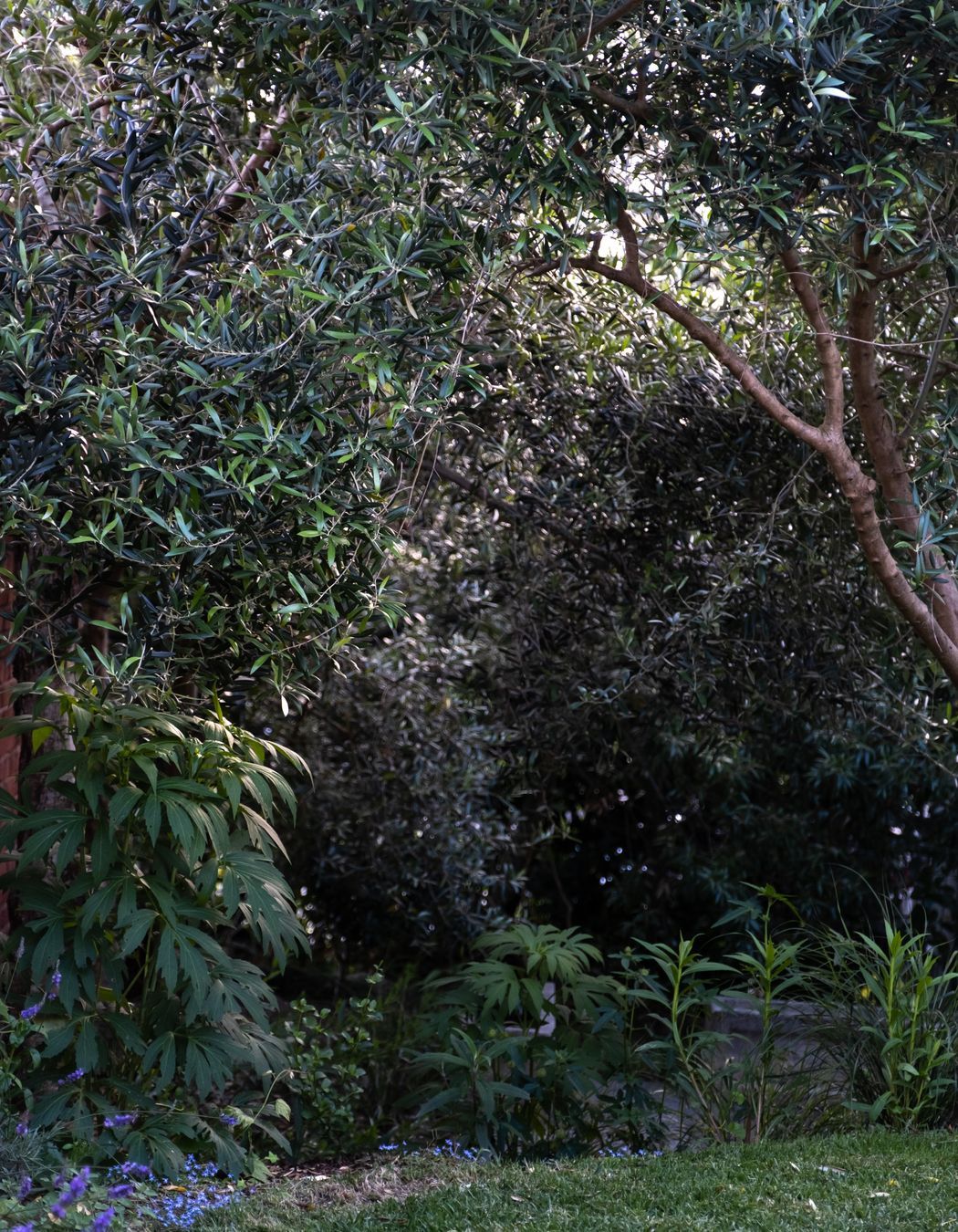 Galbraith's Alehouse - Eden Terrace