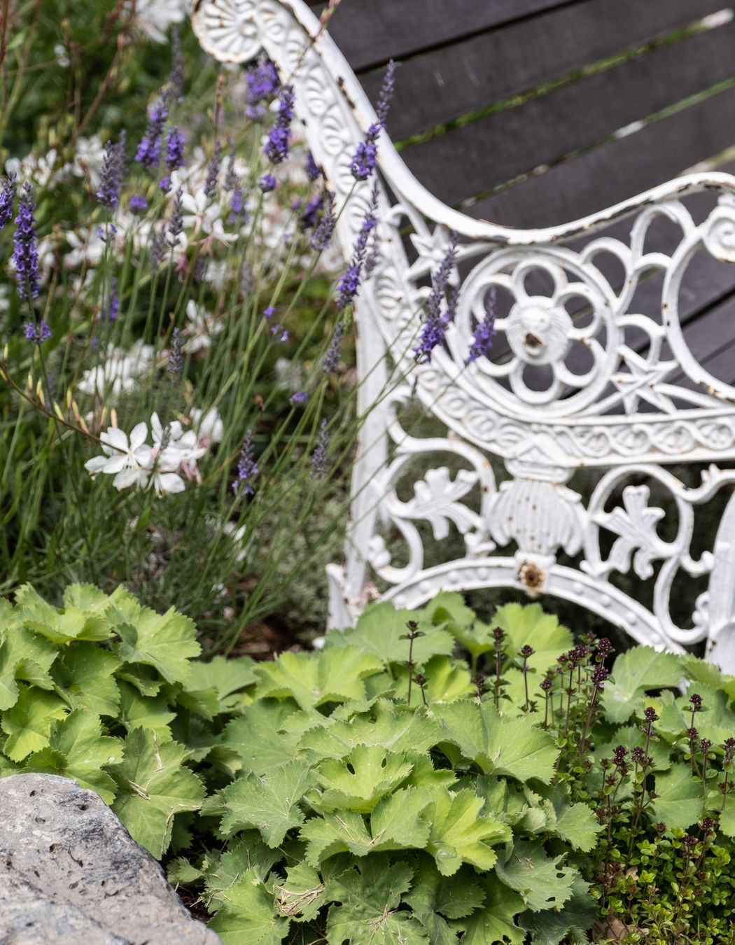 Galbraith's Alehouse - Eden Terrace