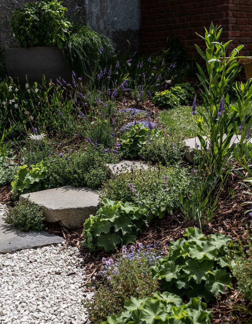 Galbraith's Alehouse - Eden Terrace