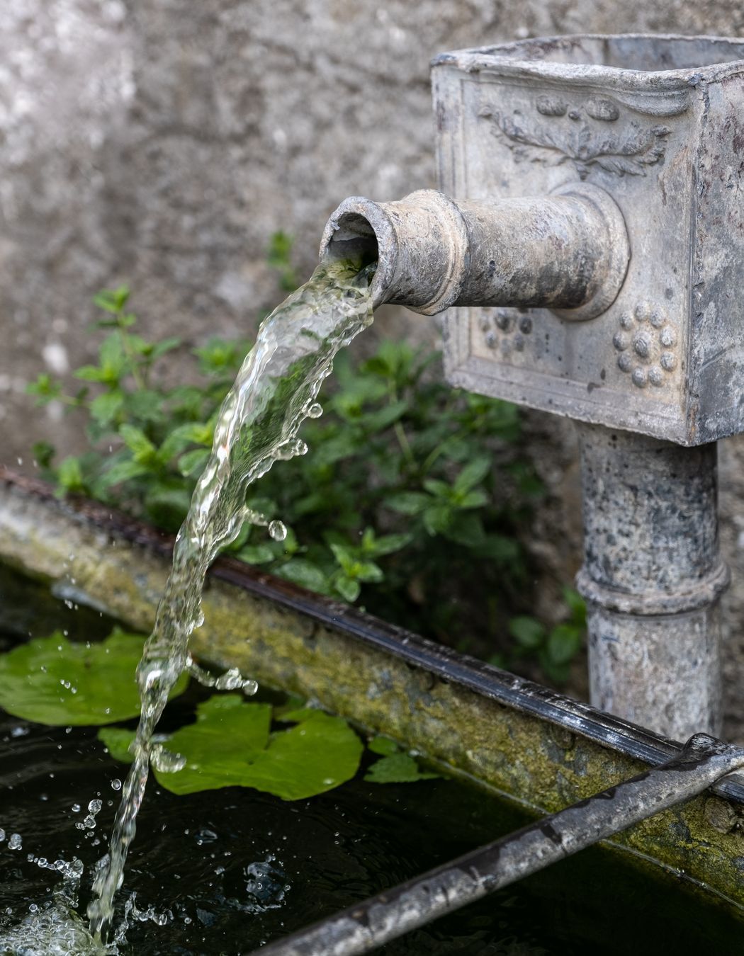 Galbraith's Alehouse - Eden Terrace