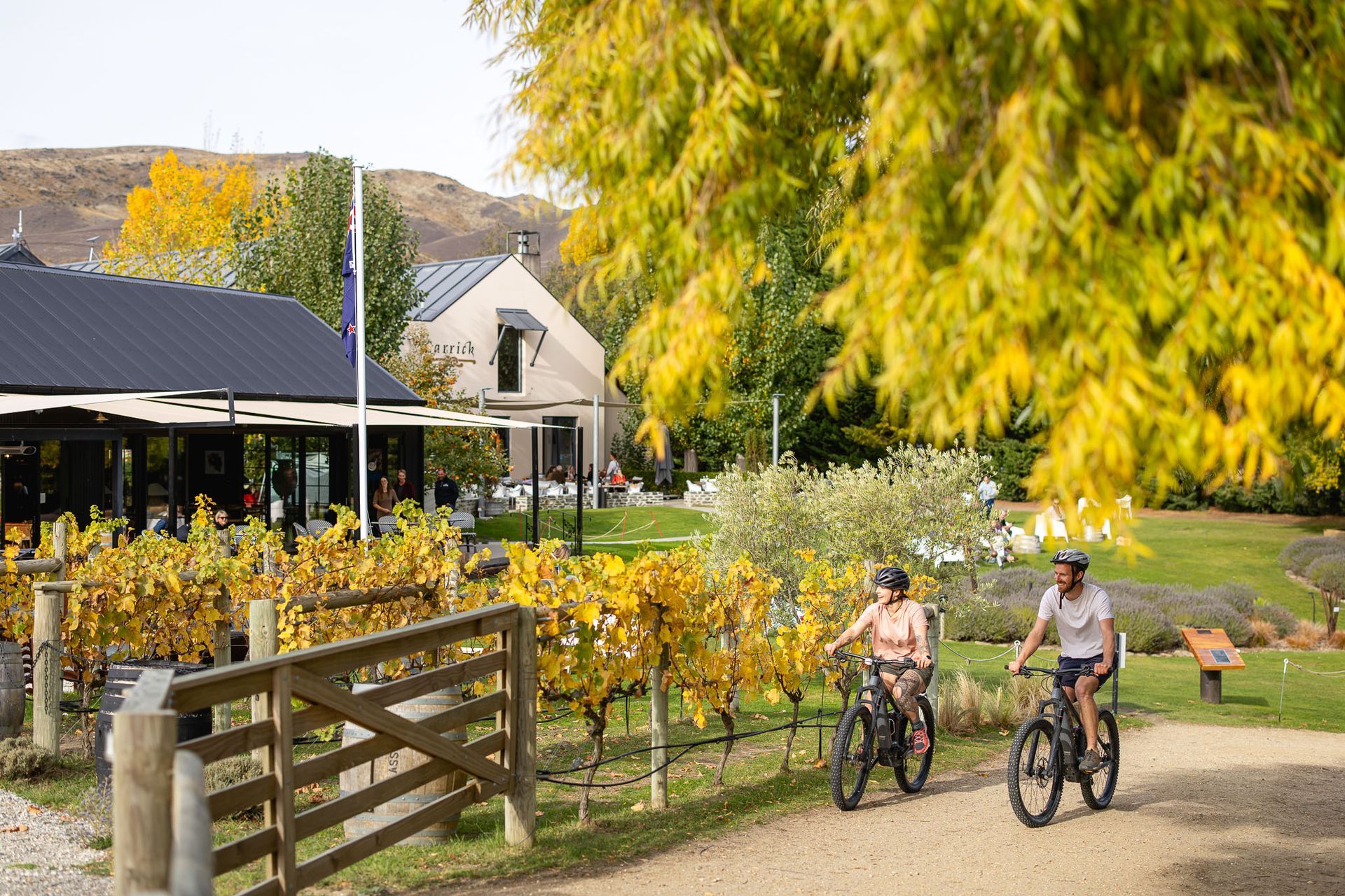CarrickWineryCromwellMilesHolden-TCO-002.jpg
