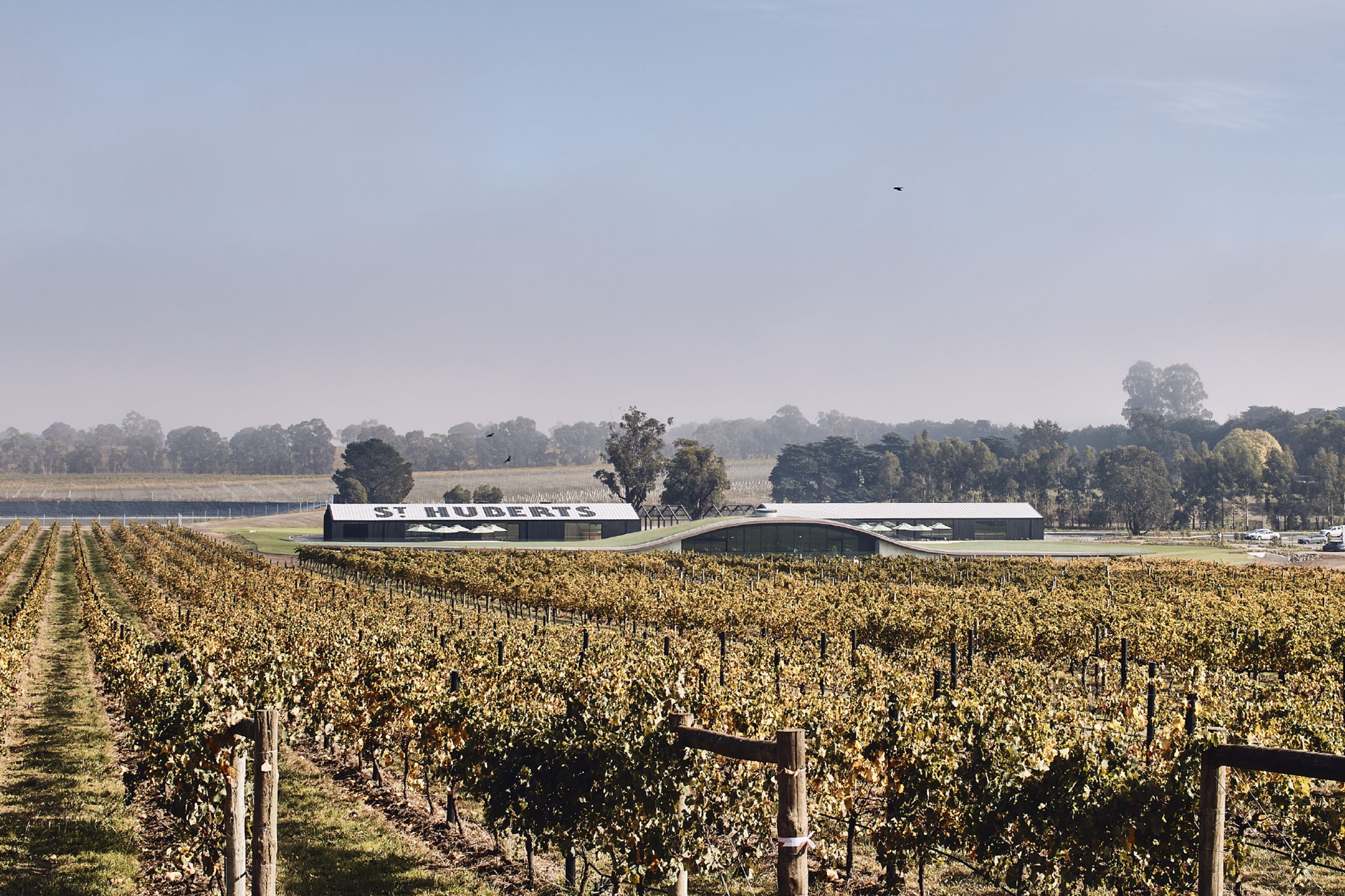 ##Hubert Estate Yarra Valley 2019