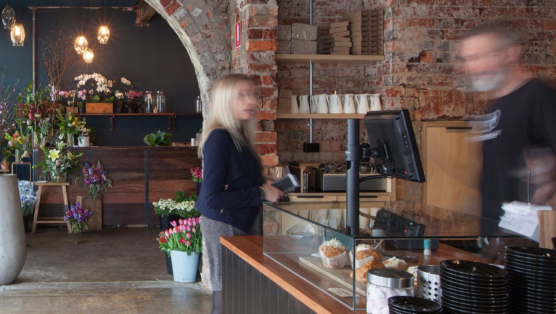 Cheeky Monkey banner