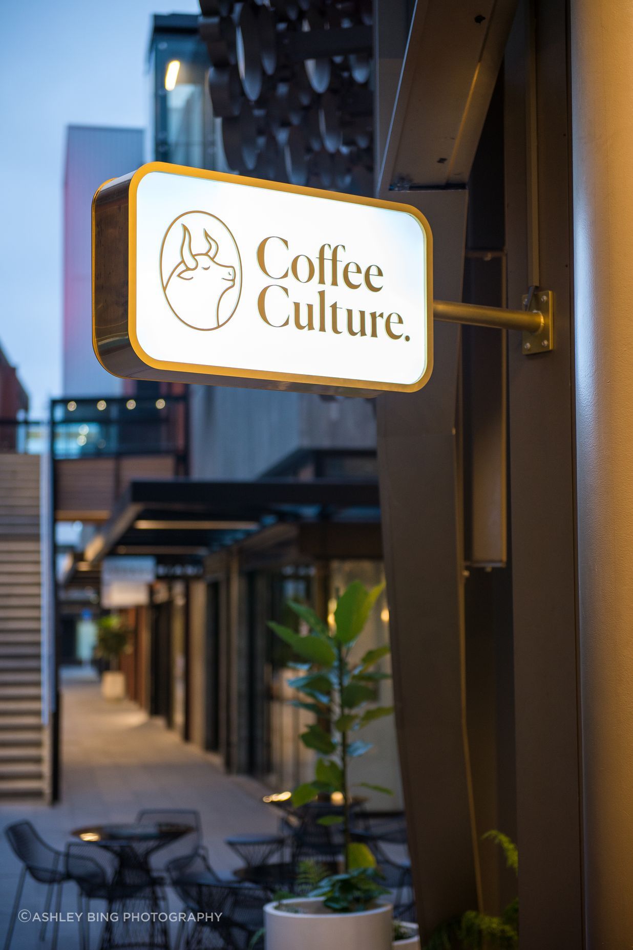 Coffee-Culture-3.jpg