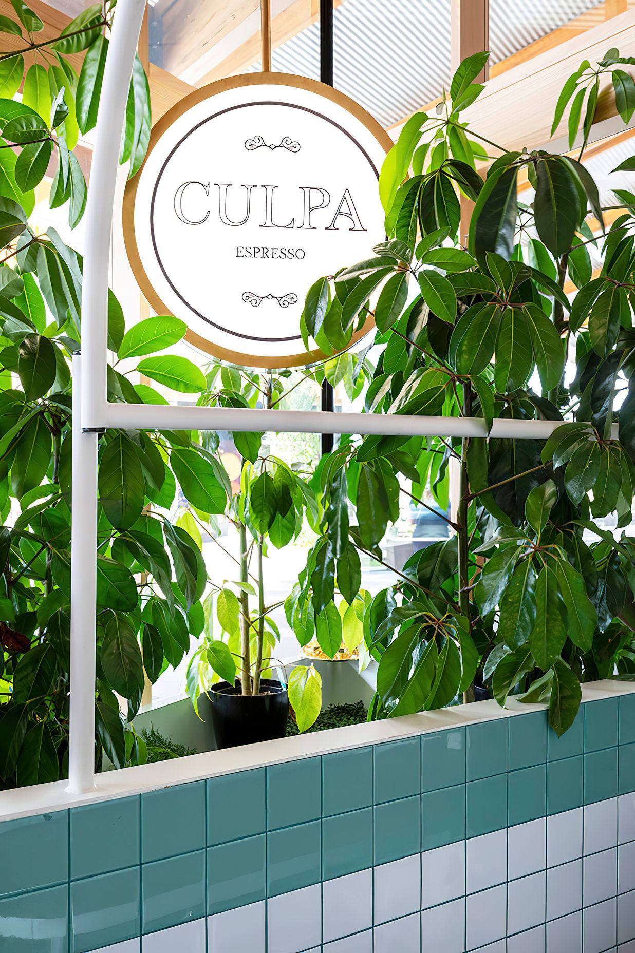 CULPA | WOODLEA TOWN