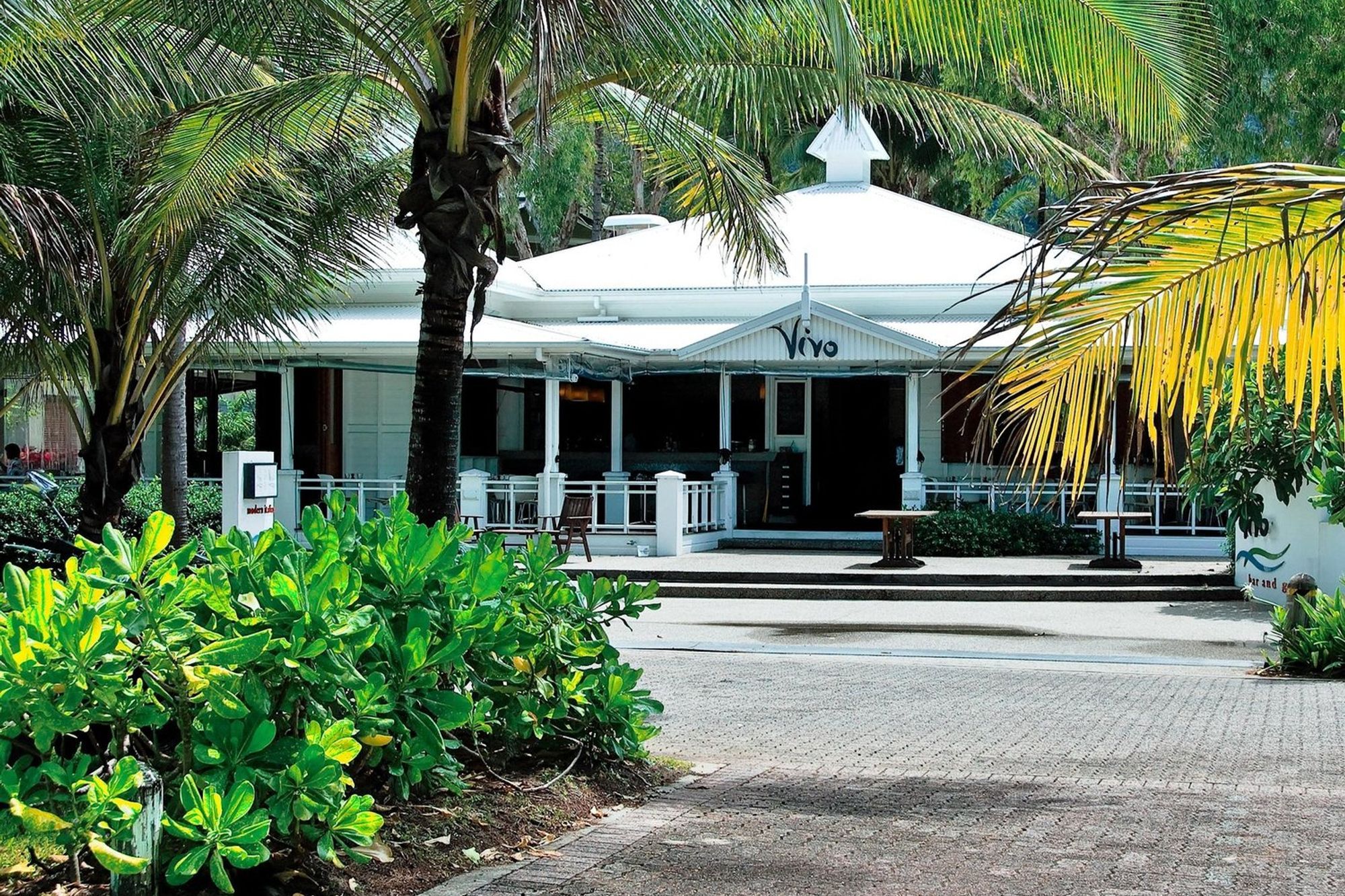 Vivo Restaurant