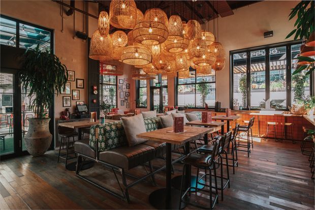 A warmly lit restaurant or café interior with exposed industrial-style ceiling services, dark timber flooring, extensive windows, patterned banquette seating, timber tables, black metal chairs, abundant indoor plants, and a striking cluster of woven rattan pendant lights.