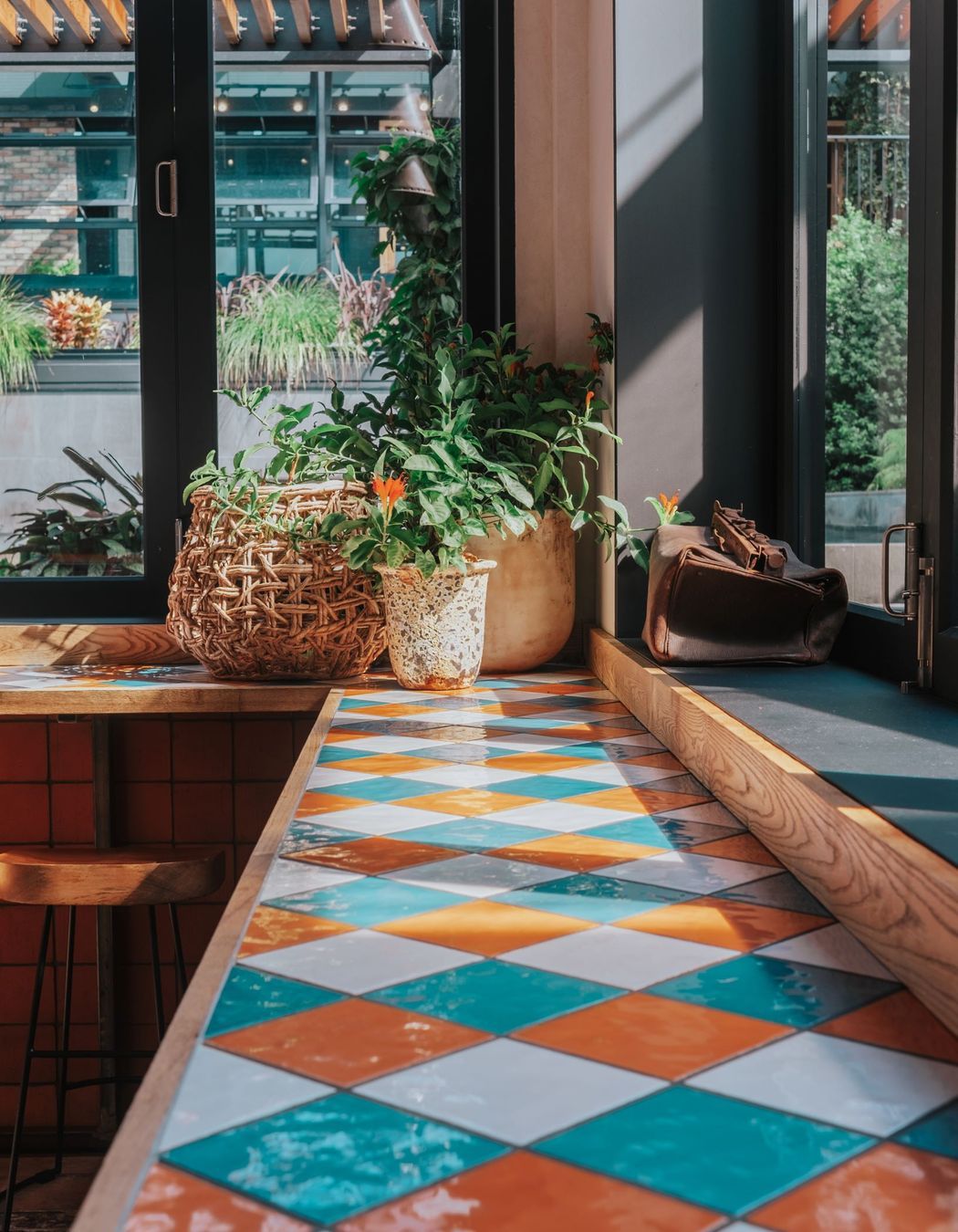 Baha Betty, Newmarket