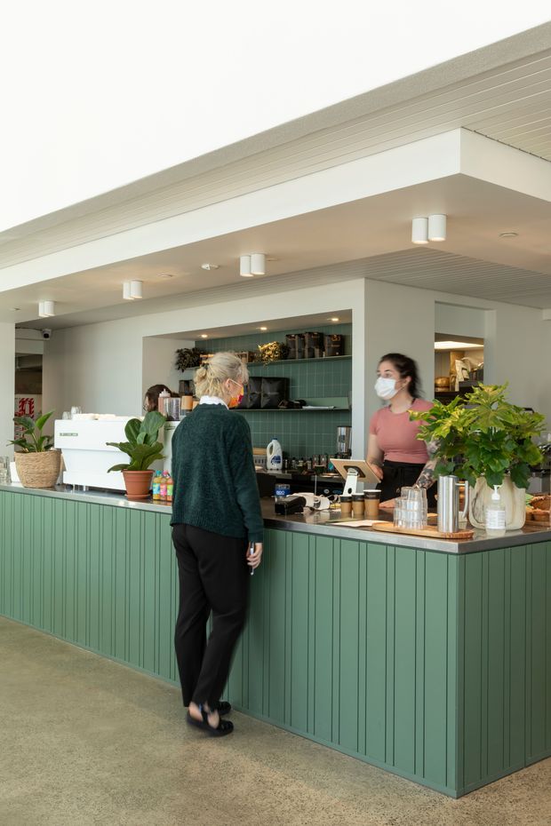 A bright café or hospitality counter viewed from the customer side. The foreground features a long fixed counter clad in dark sage-green vertical panels with a light benchtop, coffee equipment, plants, and display items. Staff work behind the counter against a green tiled splashback with open shelving and storage. The interior has a light neutral palette, ribbed ceiling panels, recessed and cylindrical lighting, and polished concrete or terrazzo-like flooring.