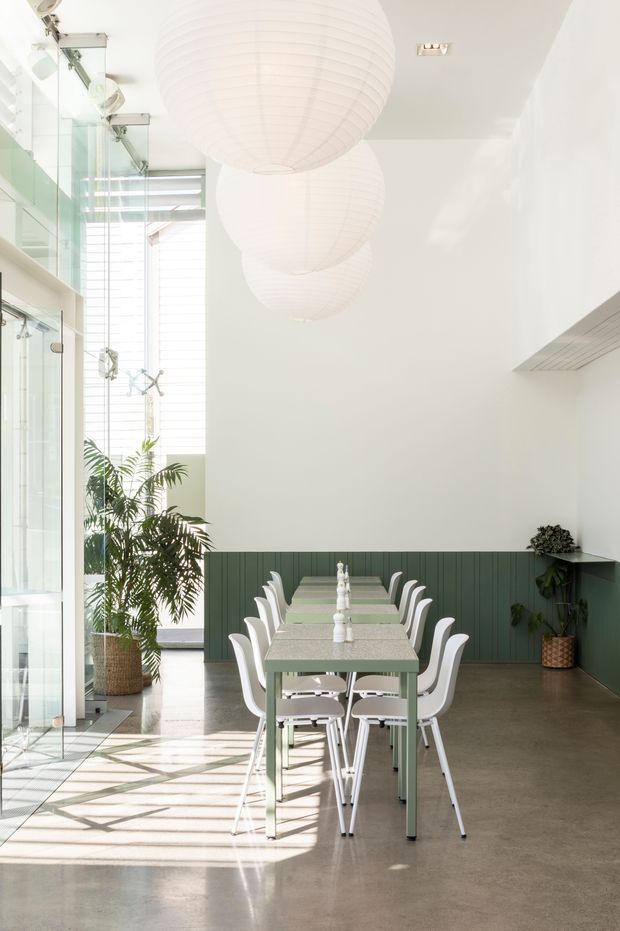 Bright, airy dining area with a long pale green dining table and matching white curved chairs. The room features a polished concrete floor, dark green vertical wall panelling with integrated shelving, white walls, a tall glazed opening with abundant natural light, indoor palm planting, and oversized white spherical pendant lights.