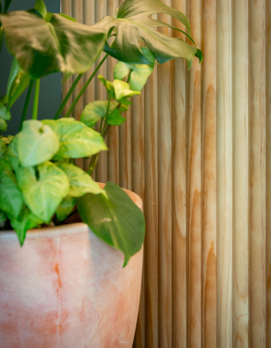 Whakatipu Brewing | Genia Timber