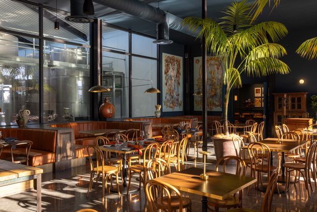 A spacious restaurant or hospitality dining interior with numerous wooden tables and bentwood chairs, leather banquette seating, pendant lights, exposed dark ceiling services and ductwork, and a glazed industrial-style partition revealing a commercial kitchen. Large indoor palms, framed artwork, dark walls, and warm sunlight create an eclectic, refined atmosphere.