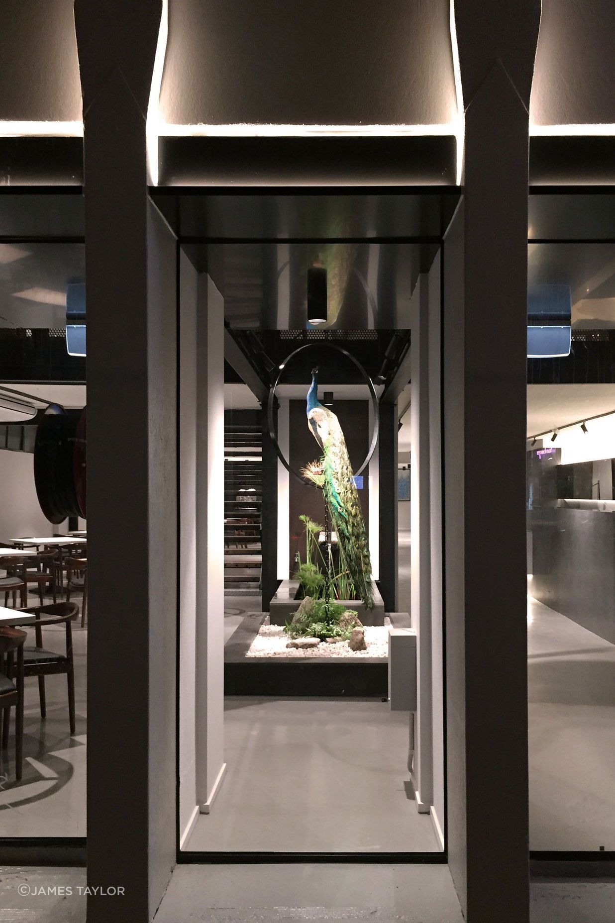 Peacock Restaurant