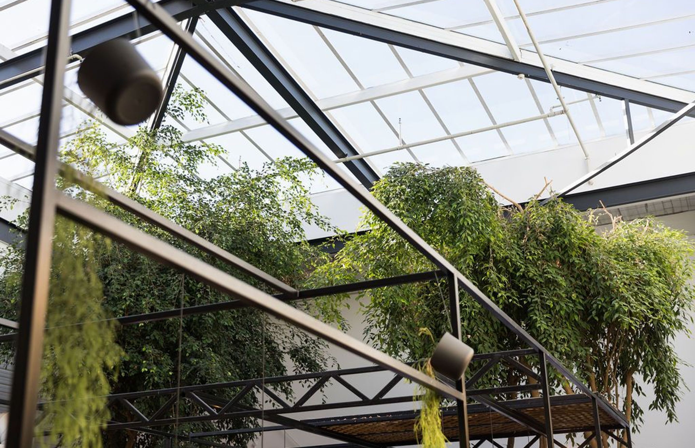 The Glasshouse Cafe