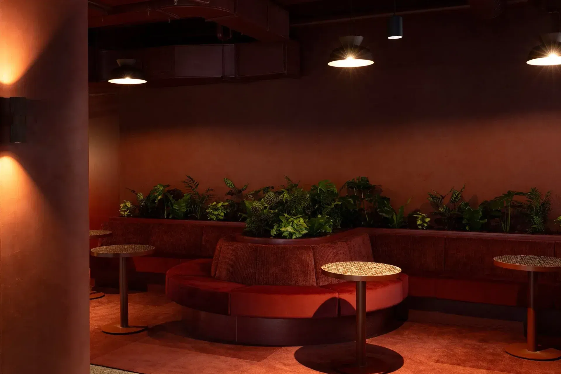 KernalWealthAmbitecSuaveRedcafe.webp