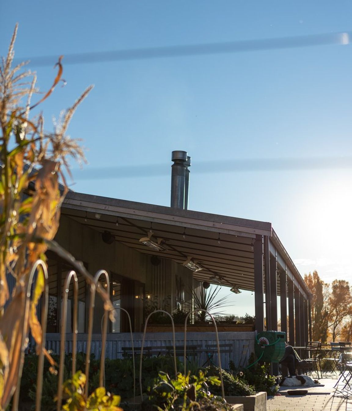 Mt Rosa Wines
